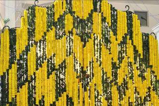 Raw Spring, Lajpat Nagar - 3