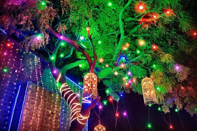 Exotic Garden 2
