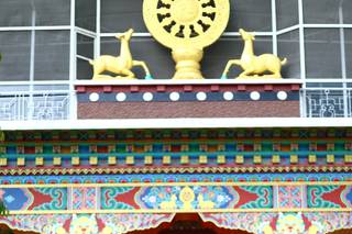 Singh Click Photography - 12