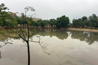 The Oasis Club Shalimar Garden Bay - 7