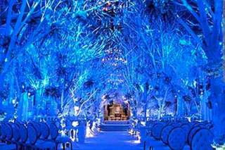 Bandhan Events, Jaipur - 8