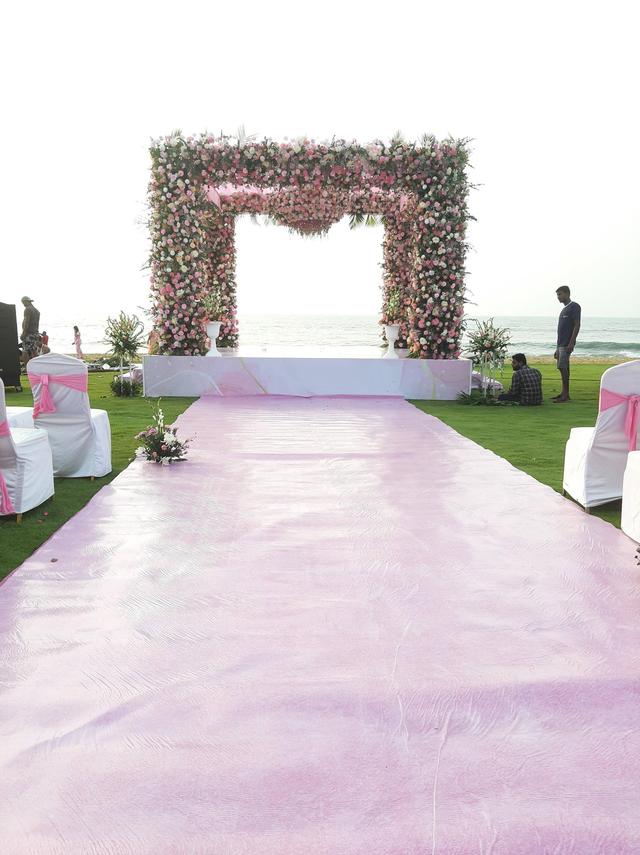 The Camellia Events - 2