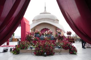 Fiestro Events - 5