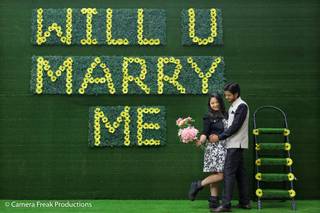 Camera Freak Productions - 6