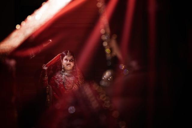 Wet Leaf Productions - 1