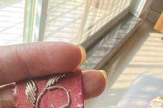 Kala Shree Regalia, Chandni Chowk - 6