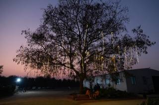 The Event Grove - 17