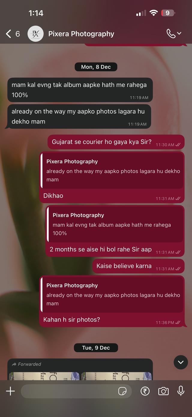Pixera Photography - 3