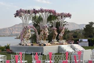 Weddx Entertainment - 5