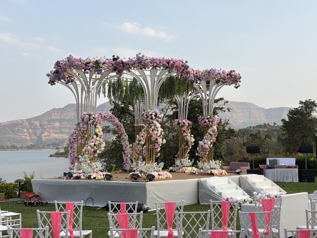 Weddx Entertainment - 1