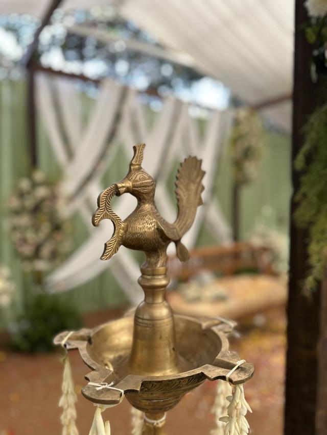 The Amore Collective - 1