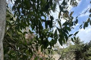 The Amore Collective - 7