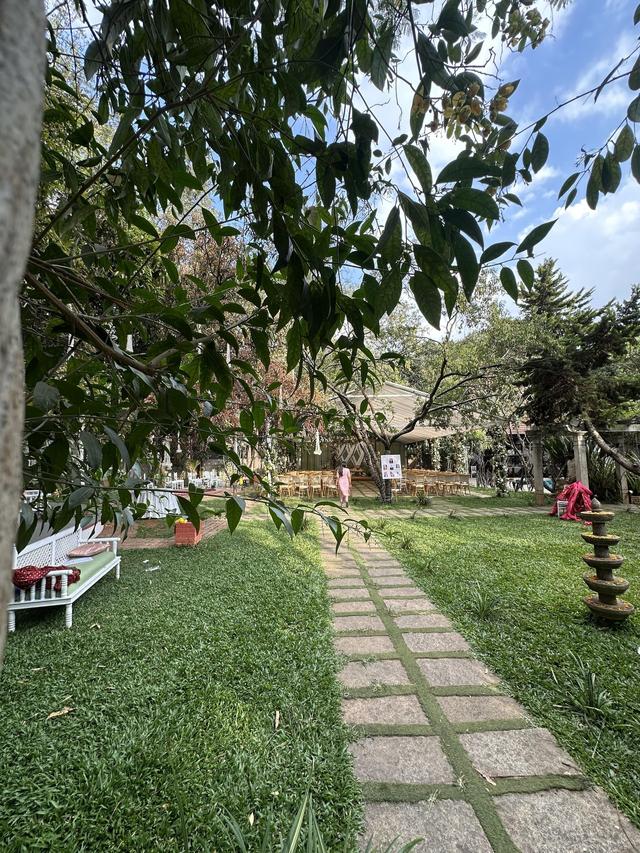 The Amore Collective - 3