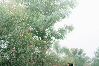 Ashugraphy - 5