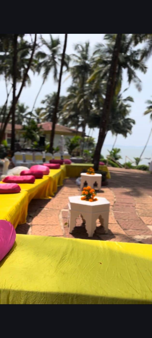 The Genda Story, Goa - 2