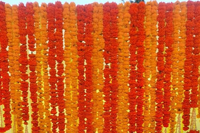 Great Grand Gala, Bangalore 1
