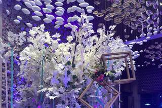 Elkan Events And Productions - 5