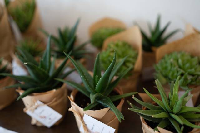 Horticult 1