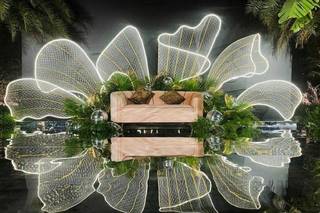 Surya Production and Events - 14