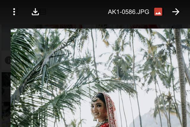 Priya Gulati Artistry 4