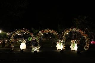 Yala Events - 5