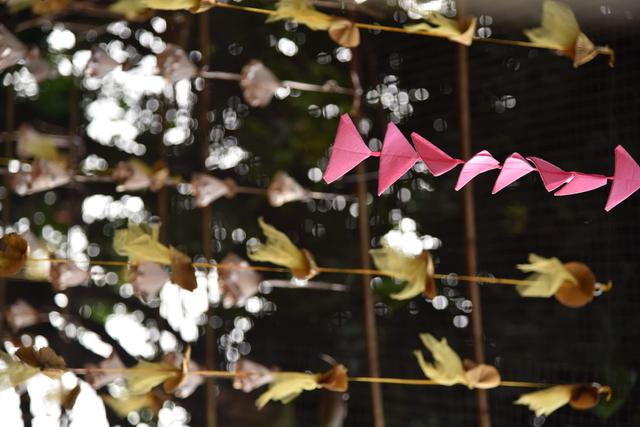 Nakshatra Palace - 3