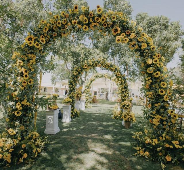 House of Events, Jaipur - 3
