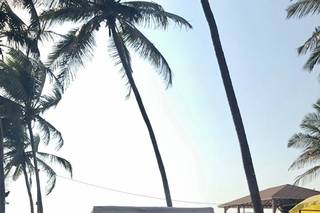 The Wedding Archers - 5