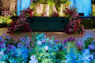 Divine Eyes Events - 6