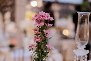 Noon Moon Events - 6