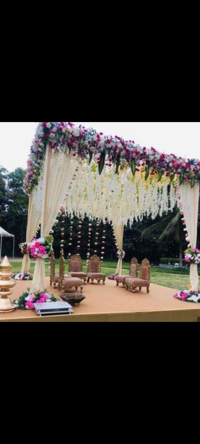 The wedding Tree - 1