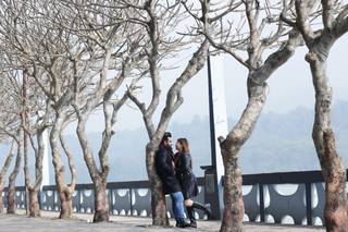 Stories by Shanker - 6