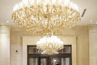 Wet Leaf Productions - 18