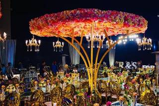 Elegant Exposition Events - 9