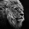 Sumit