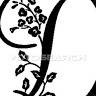 Divya