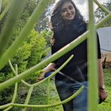 Lavanya
