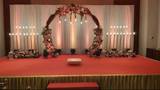 Anup
