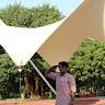 Dhruvik