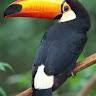 Ajay