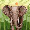 Anshuman