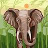Anshuman