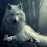 Sparsh