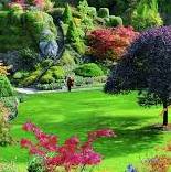 Shashank