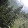 Amishi