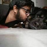 Jayant