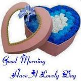 Gorav
