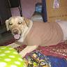 Tarun