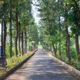 Pramod