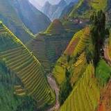 Rakesh